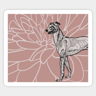 Boho Greyhound and Flower Sticker